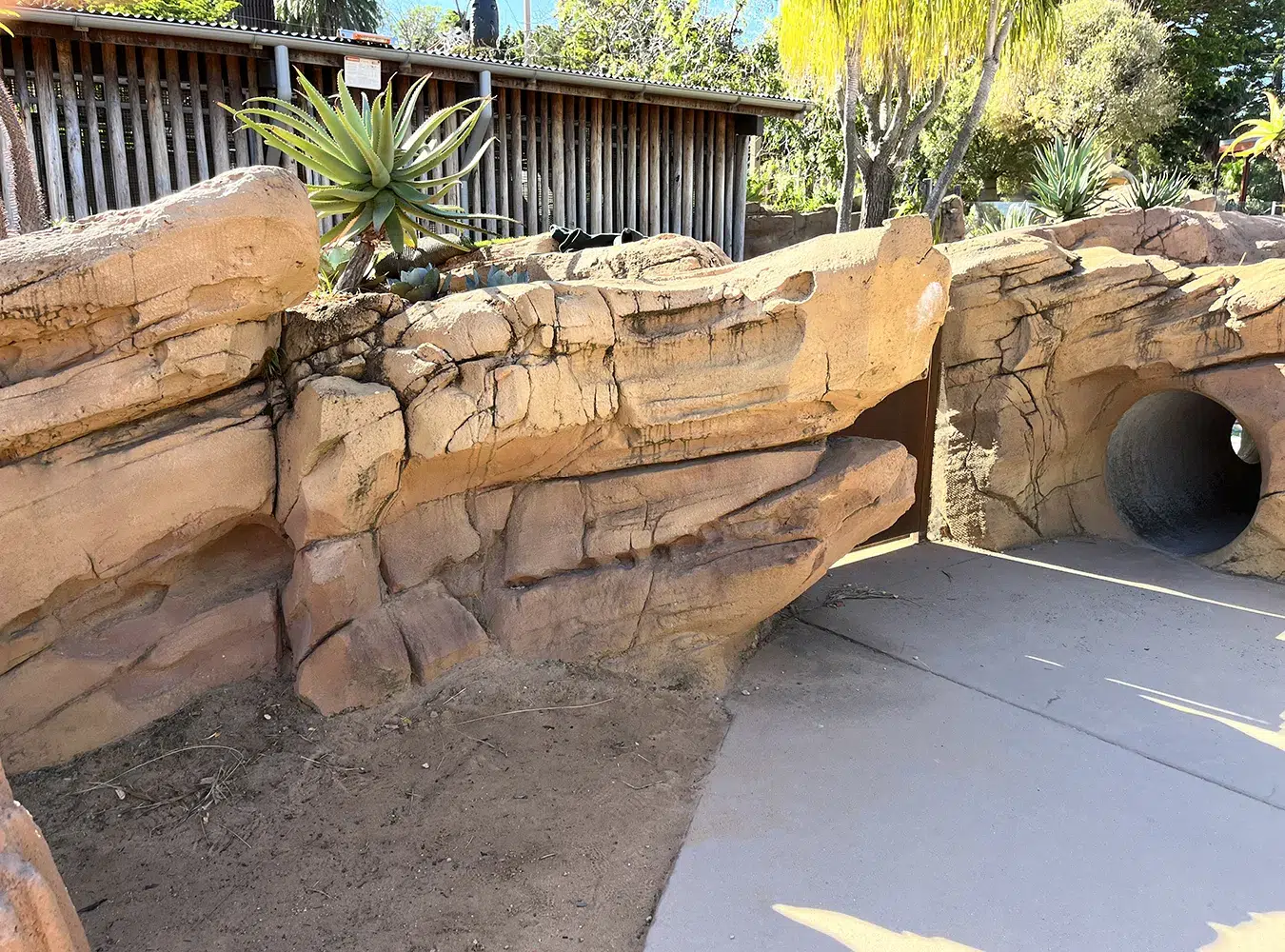 Desert-themed landscaping with aloe plants atop sandstone rock formations.